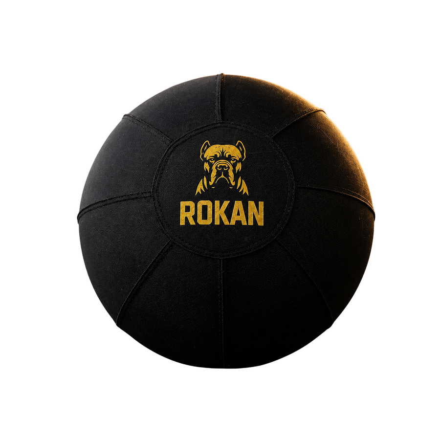 ROKAN interactive herding ball